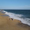 Kirinda Beach - Ayurveda in Sri Lanka