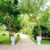 Eingangsbereich im Karunakarala Ayurveda Resort - Ayurveda in Sri Lanka
