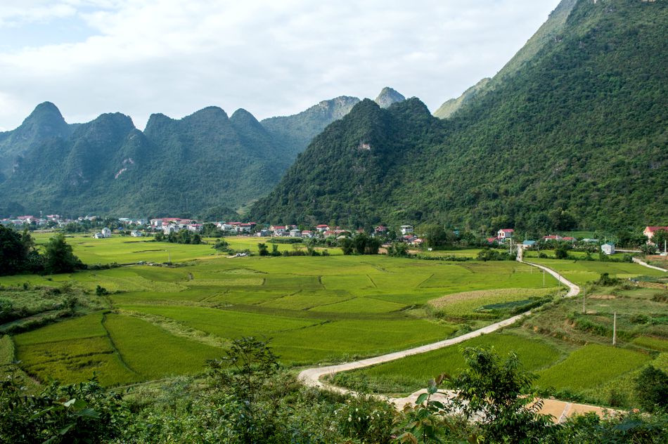 Grünes Tal mit Reisfeldern und Karstbergen in Nordvietnam