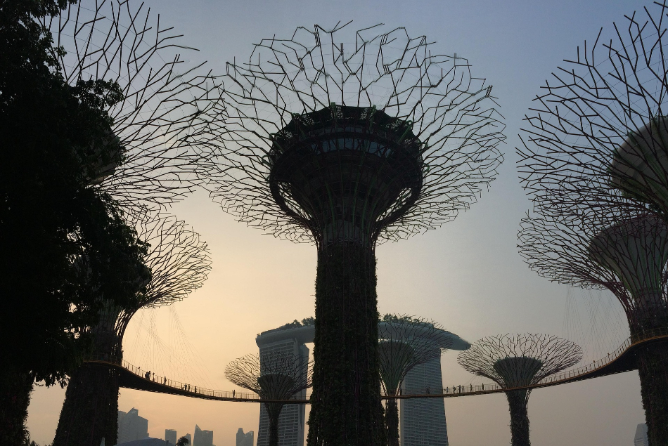 Supertrees in Gardens by the Bay vor dem Abendhimmel von Singapur