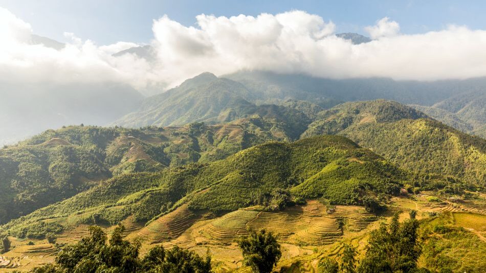Sapa – spektakuläre Berglandschaften und Teeplantagen Teeplantagen und bewaldete Berge in der Region Sapa